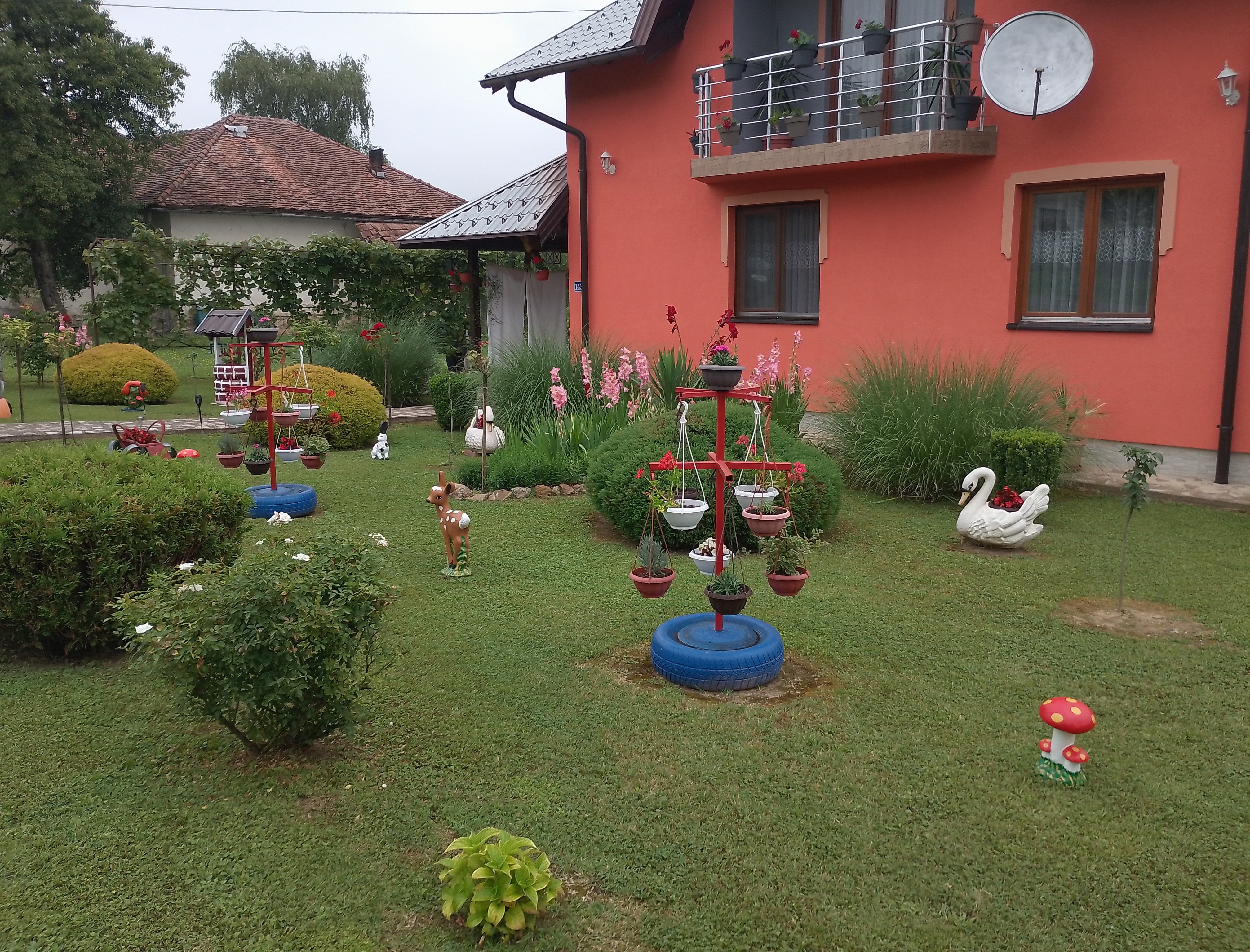 IMG 20240626 104230